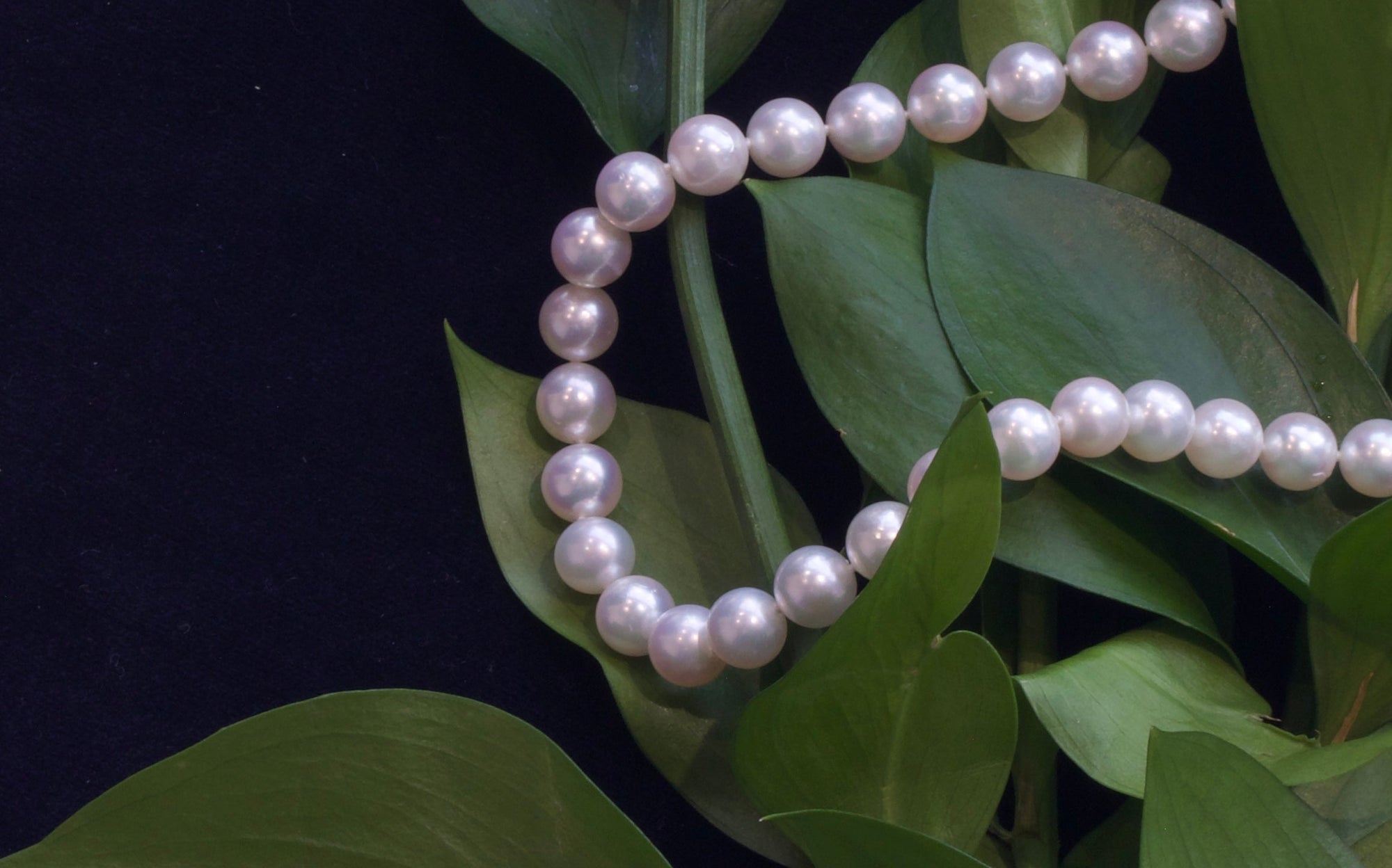 年末年始の営業に関するお知らせ