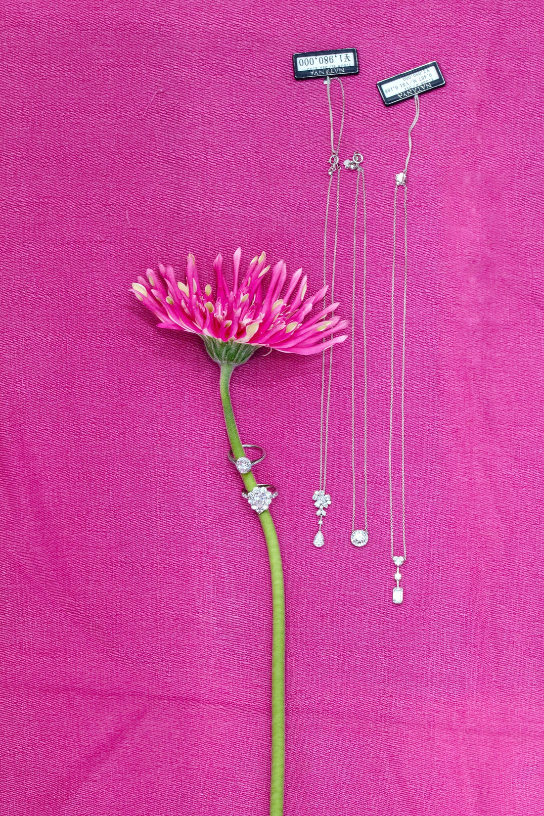 広尾店 CHRISTMAS SALE