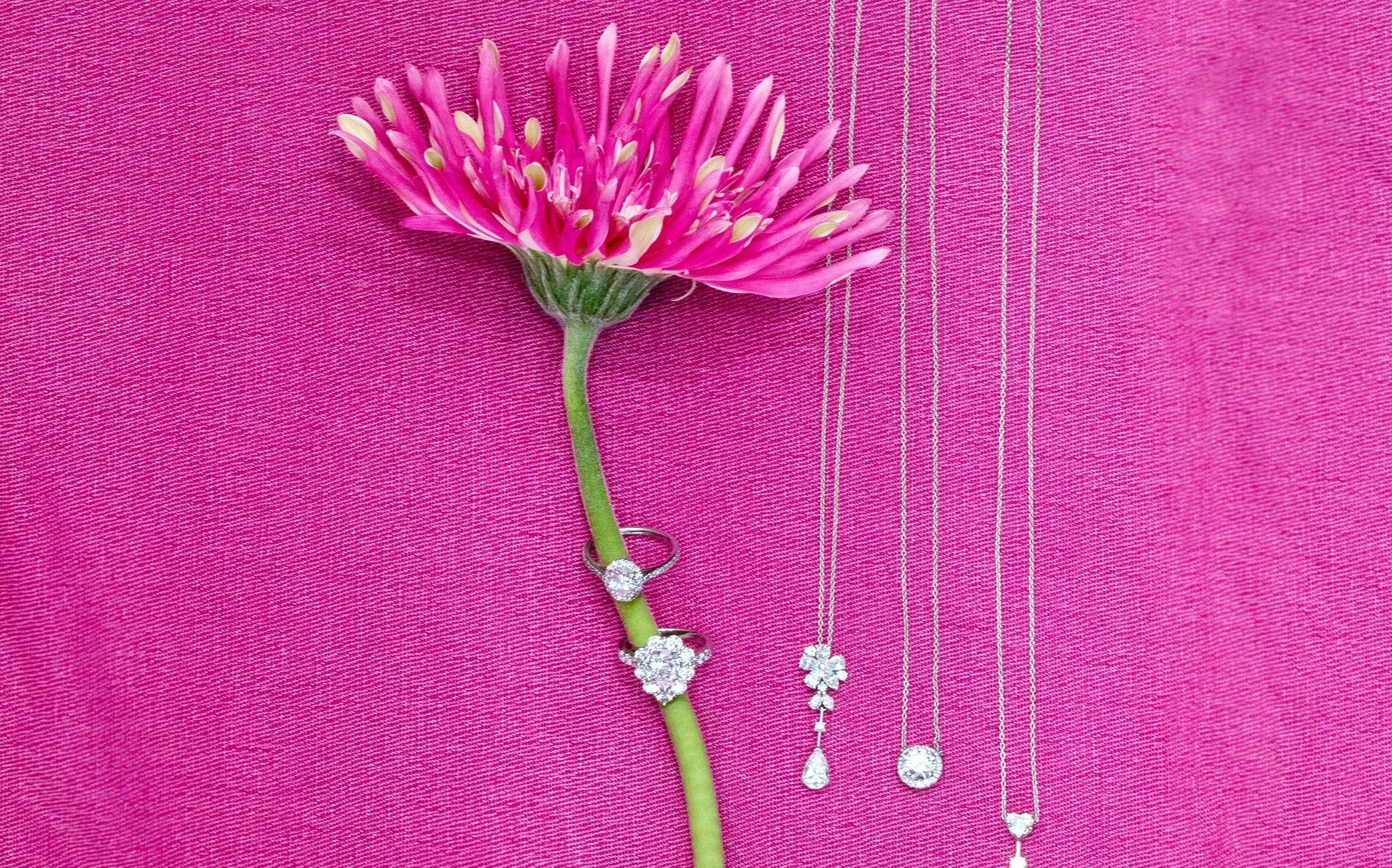 広尾店 CHRISTMAS SALE