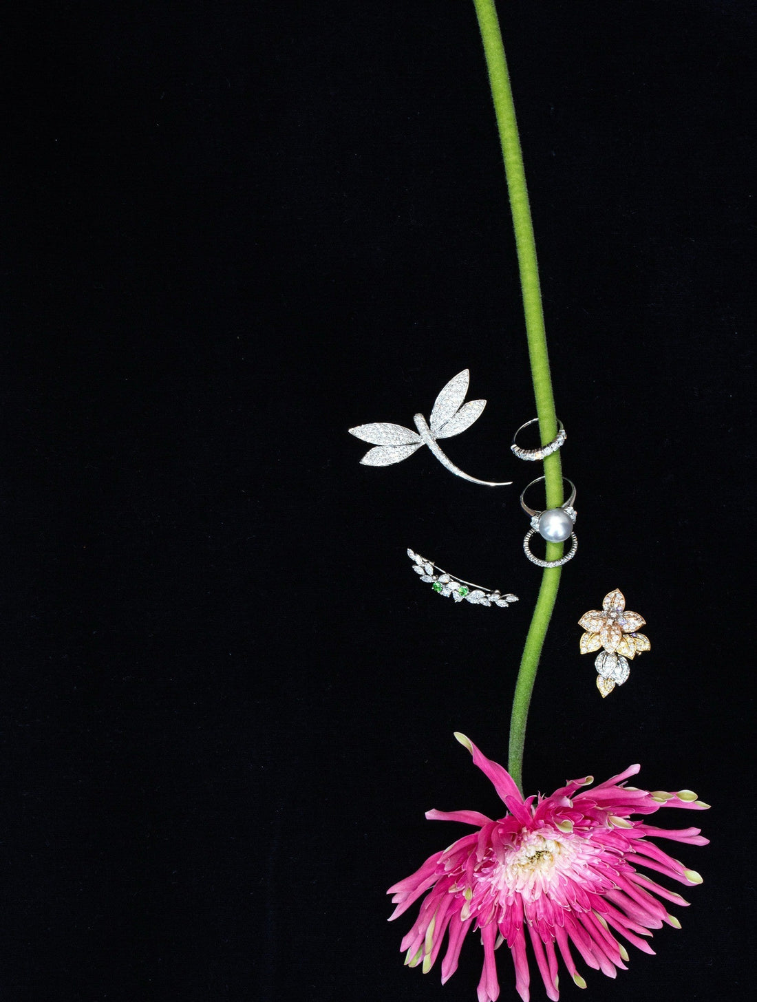 自由が丘店 CHRISTMAS SALE